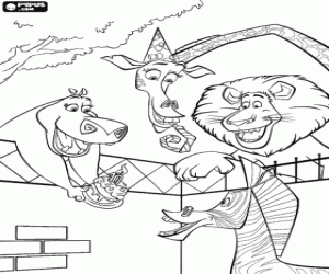 desenho de A festa de anivers�rio surpresa para Marty, a zebra, com seus amigos Gloria o hipop�tamo, a girafa Melman e Alex o Le�o para colorir