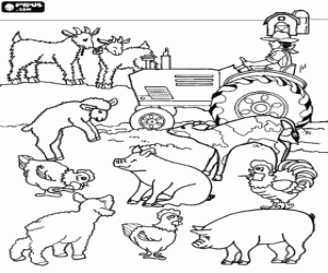 desenho de Agricultor em seu trator cercado por seus animais da sua fazenda para colorir
