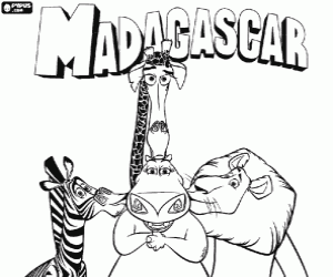 desenho de Alex, Marty, Melman e Gl�ria, os animais protagonistas das aventuras em Madagascar para colorir