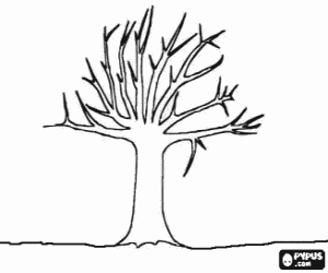 desenho de �rvore sem as folhas no inverno  para colorir