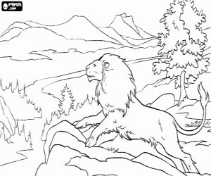 desenho de Aslan, o legend�rio le�o criador do pa�s de Narnia para colorir
