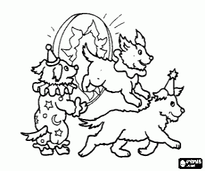 desenho de C�es fazendo sua performance de circo saltando atrav�s de um aro para colorir