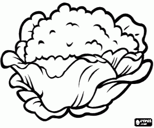 desenho de Couve-flor para colorir