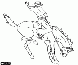 desenho de Cowboy montando um cavalo empinado em um rodeio para colorir