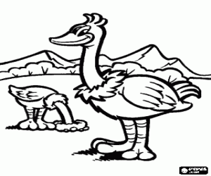 desenho de Dois avestruzes na paisagem, o avestruz � uma gran ave que n�o voa para colorir