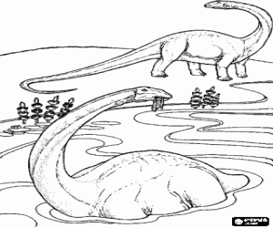 desenho de Dois dinossauros, uma est� comendo dentro da �gua, enquanto o outro est� atento para colorir
