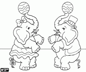 desenho de Dois elefantes de circo fazendo malabarismo com suas trombas e umas bolas para colorir