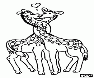 desenho de Duas girafas no amor com os pesco�os entrela�ados para colorir