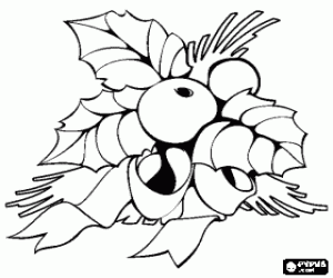 desenho de Enfeites vegetais do Natal para colorir