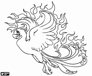 desenho de F�nix ou f�nix � um p�ssaro m�tico que consumido pelo fogo e renasce das cinzas para colorir
