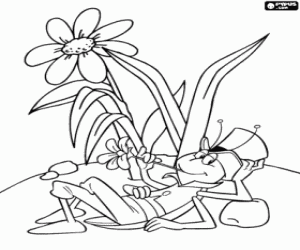 desenho de Flip, o gafanhoto, descansando calmamente com uma flor na boca para colorir
