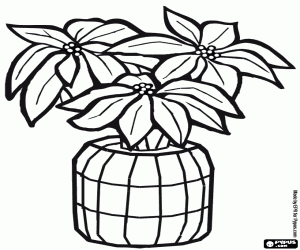 desenho de Flor do Natal ou poins�tia em um vaso com decora��es natalinas para colorir