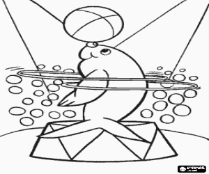 desenho de Foca fazendo um exerc�cio no circo com anelos girando no corpo e com bola no nariz para colorir