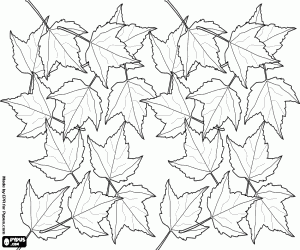 desenho de Folhas caídas no chão, uma imagem típica de outono para colorir