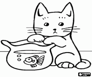 desenho de Gatinho que joga com um pequeno aqu�rio para colorir