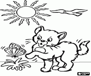 desenho de Gatinho que joga com uma borboleta para colorir