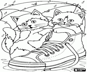 desenho de Gatinhos brincando na chuva com um sapato de t�nis para colorir