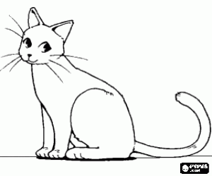 desenho de Gato com a cauda em movimento, visto em perfil   para colorir