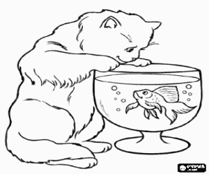 desenho de Gato mirando um peixe nadando em um aqu�rio para colorir