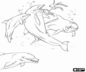 desenho de Grupo de delfins com uma cria nadando no mar para colorir