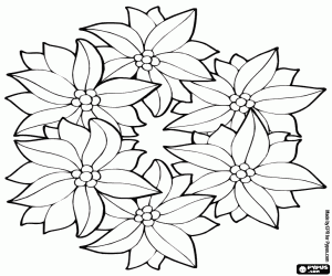 desenho de Grupo de poins�tias para colorir