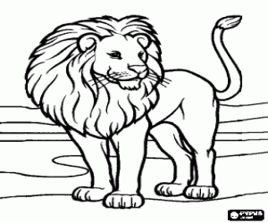 desenho de Le�o em um paisagem deserto  para colorir