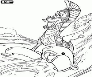 desenho de Marty a zebra praticando o surf, com a ajuda dos golfinhos para colorir