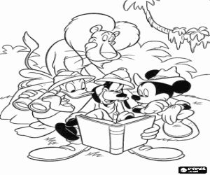 desenho de Mickey e seus amigos Donald e Goofy na selva com um le�o atr�s para colorir