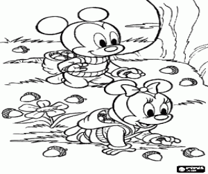 desenho de Os pequenos Mickey e Minnie na recolha de bolotas de carvalho da floresta para colorir