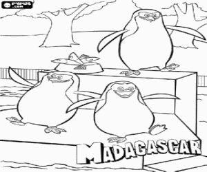 desenho de Os ping�ins do zoologico de Central Park felices com a sua refei��o para colorir