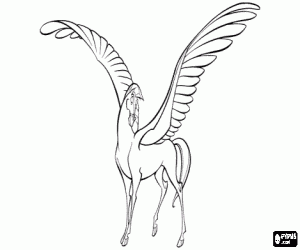 desenho de P�gaso, o cavalo alado, um presente de Zeus ao seu filho Hercules para colorir