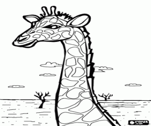 desenho de Retrato de la  cabe�a de uma girafa linda para colorir