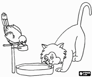 desenho de Um gato e um papagaio que bebem dos seus pratinhos para colorir