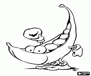 desenho de Uma vagem aberta contendo ervilhas para colorir