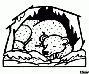 desenho de Urso em hiberna��o para colorir