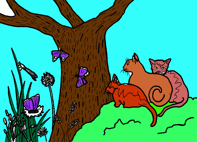 3  gatos para colorir e imprimir