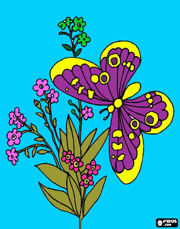 a borboleta simone para colorir e imprimir