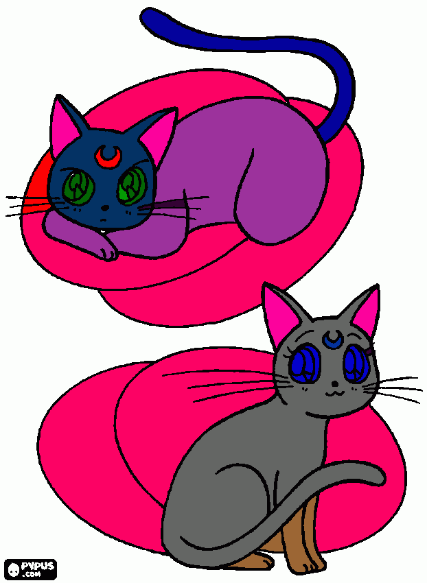 a gata luna para colorir e imprimir