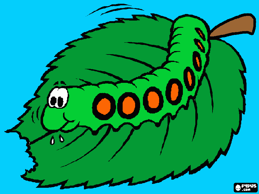 a lagartinha com fome para colorir e imprimir