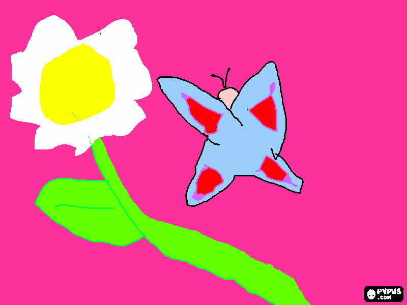 a margarida e a borboleta para colorir e imprimir