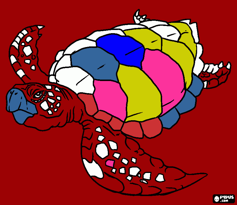 A tartaruga para colorir e imprimir
