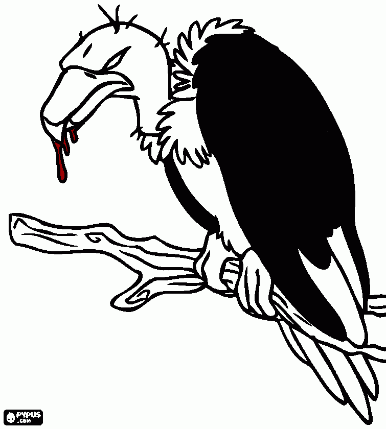 abutres para colorir e imprimir