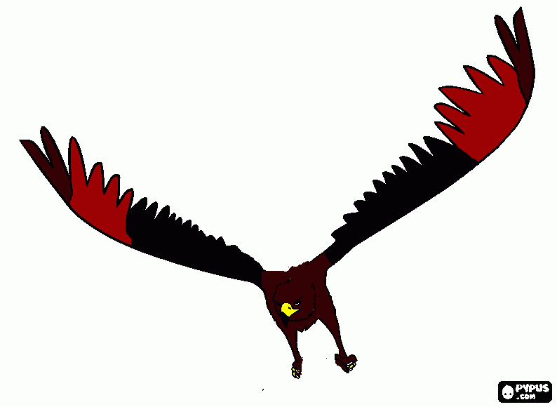 aguia do god fo war para colorir e imprimir