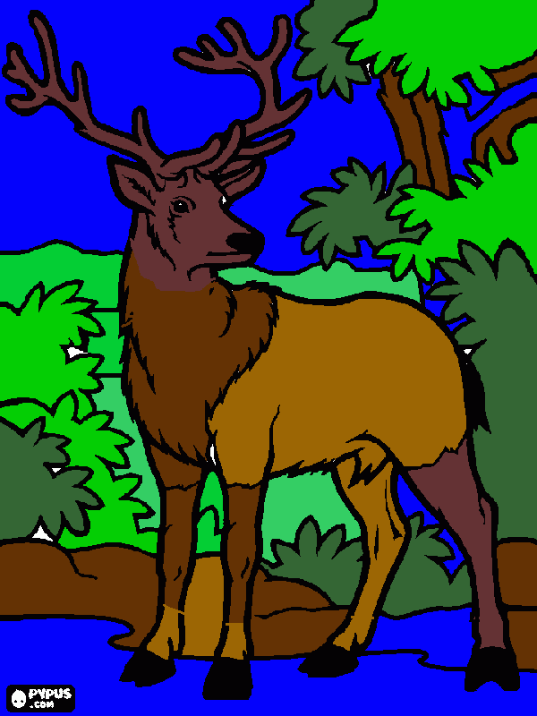 alci para colorir e imprimir