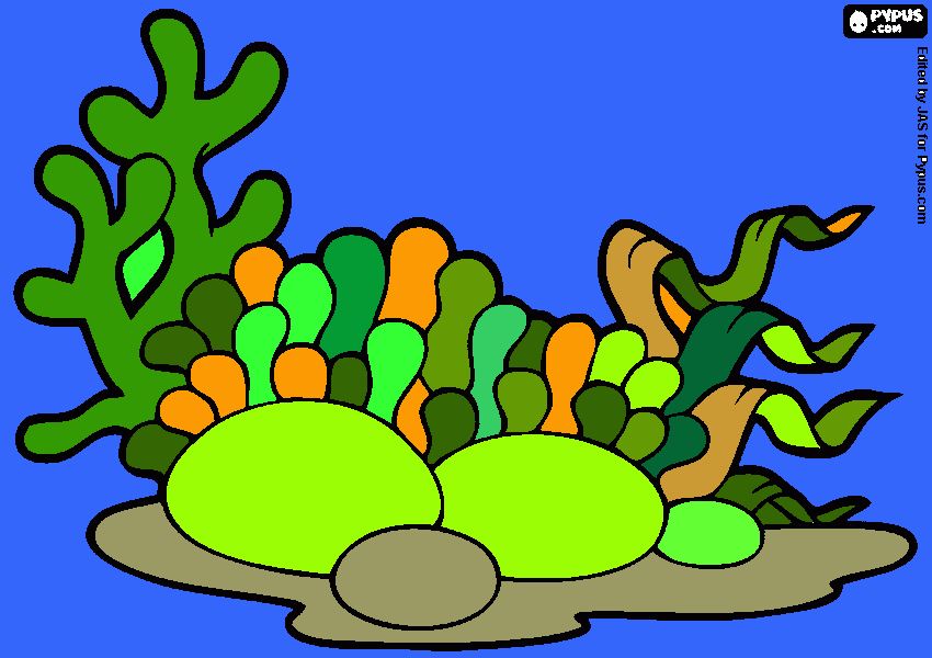 algas bibi para colorir e imprimir