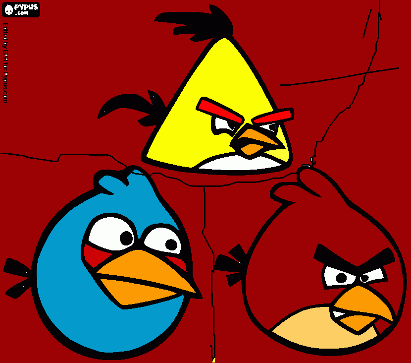 angibirdis para colorir e imprimir