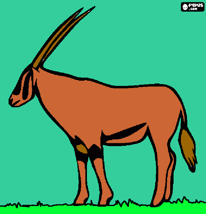 antelopes para colorir e imprimir