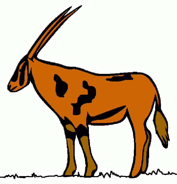 antilope para colorir e imprimir