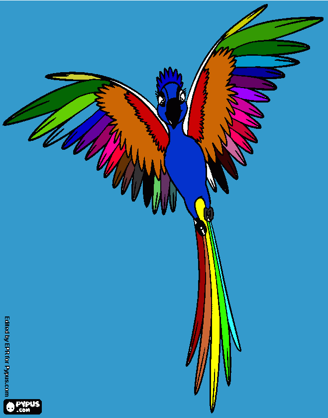 arara colorida para colorir e imprimir