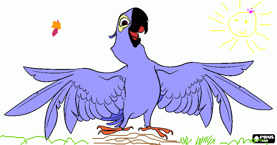 arara pintada para colorir e imprimir